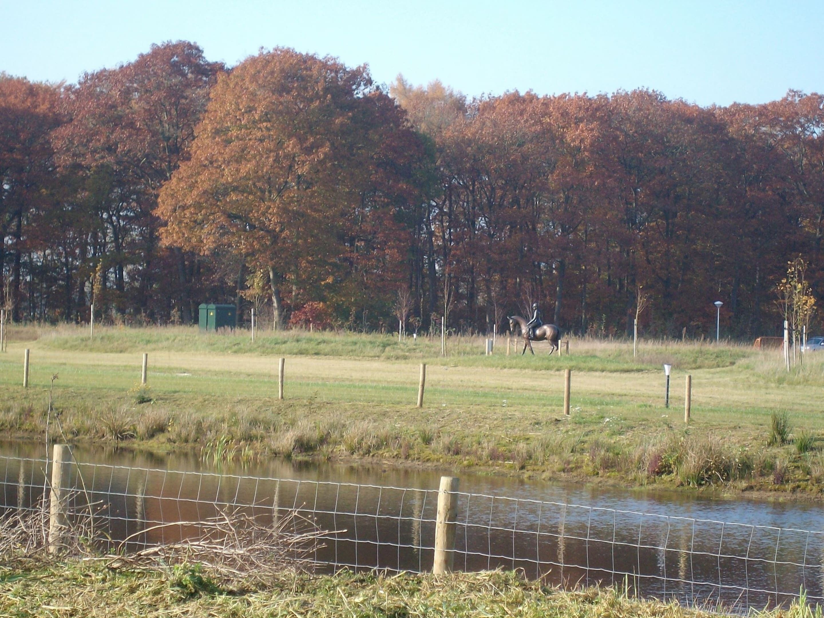 Ein eingezäuntes Feld, im Vordergrund ein Gewässer und im Hintergrund Bäume mit Herbstlaub.
