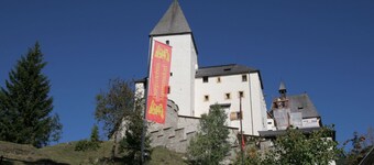 Apartment in the ski Area of St. Margarethen