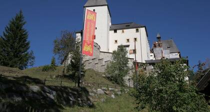Apartment in the ski Area of St. Margarethen