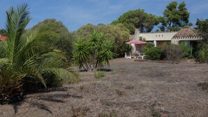 Garden - Beachside Bliss in Cargese (Cargese)