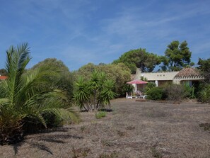 Garden - Beachside Bliss in Cargese (Cargese)