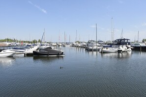 Ferienhaus | Blick von der Unterkunft