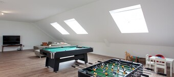 Pet-friendly Mansion