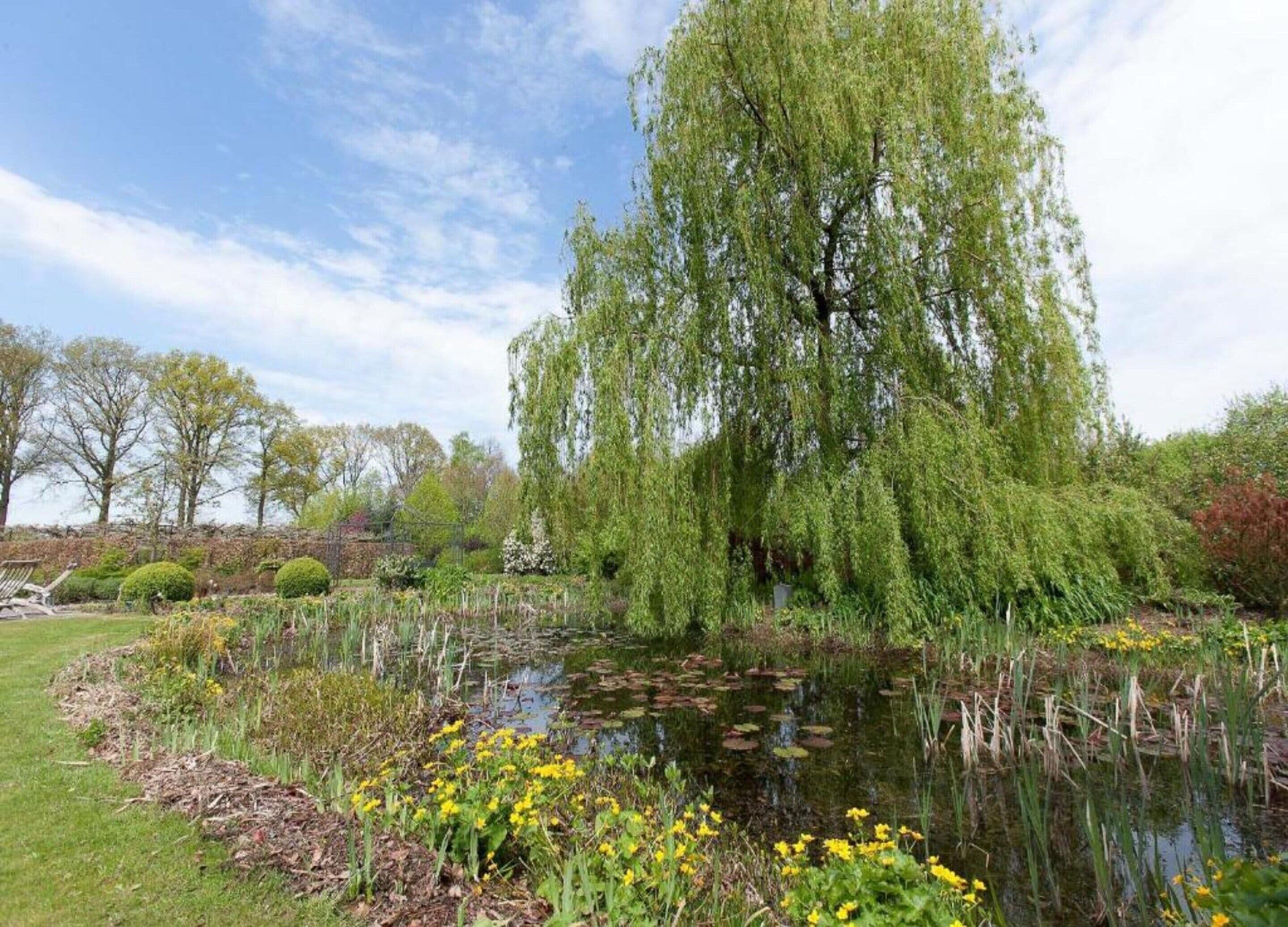 House | View from property