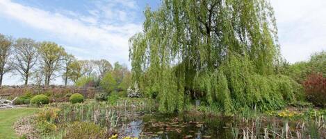 Rumah | Pemandangan dari properti