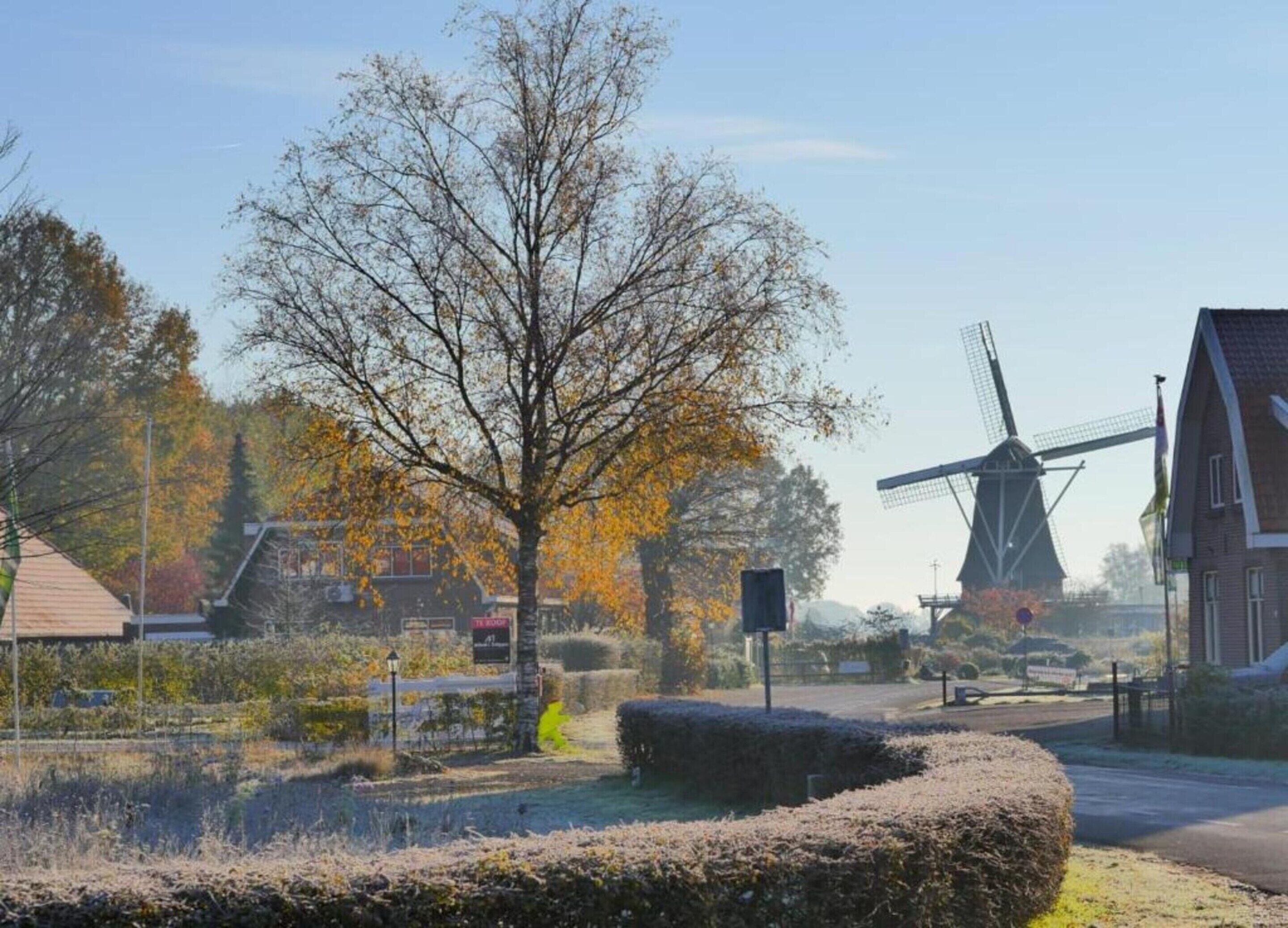 Ländliche Landschaft mit Windmühlen, einem Baum und einem Gebäude.