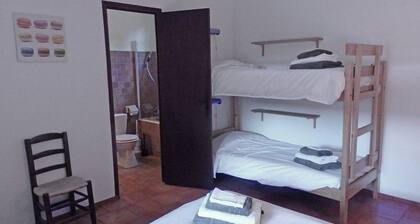 Saint-siffret: Forest & Pool