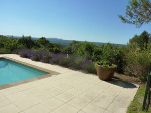 View from property - Saint-siffret: Forest & Pool (Saint-Siffret)