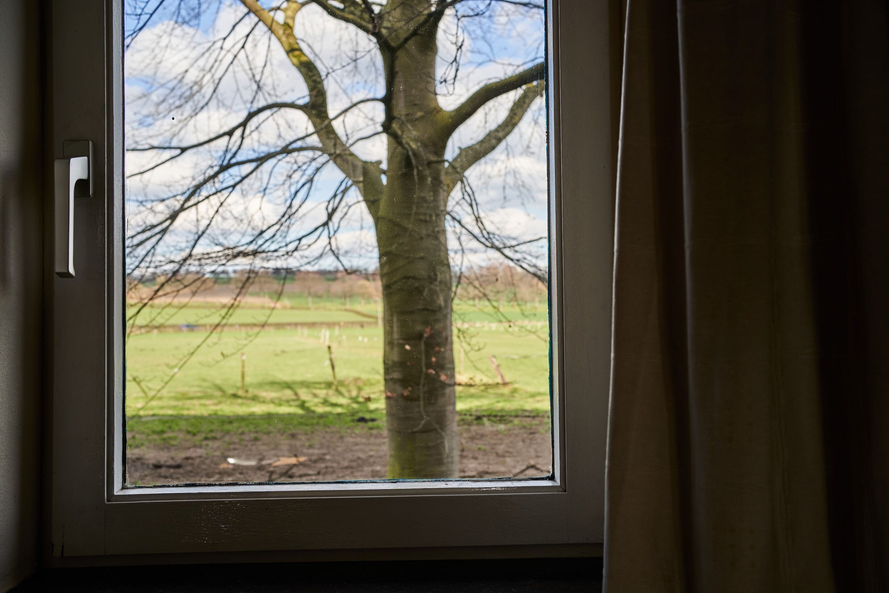 الإطلالة من المنشأة