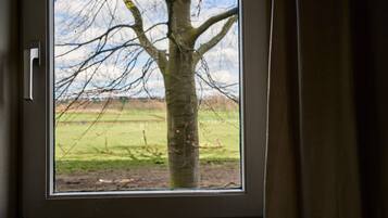 Apartment | Blick von der Unterkunft
