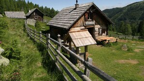 Unclassified image, 3 of 22, button - Stunning Holiday Home in Eisentratten With Garden, Terrace (Krems in Kaernten)