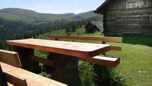 Unclassified image, 2 of 22, button - Stunning Holiday Home in Eisentratten With Garden, Terrace (Krems in Kaernten)