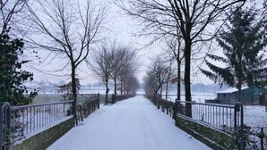 A snow-covered pathway flanked by trees and fences, leading to a distant building. - Spacious Villa near Town Center in Mesch (Eijsden)