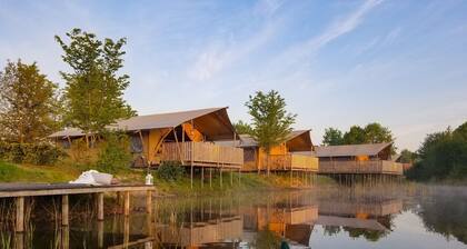 Campsite - Combined Tents With Kitchen and Bathroom Located Near a Pond