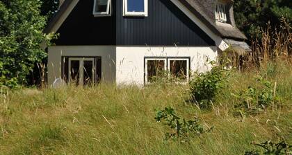 Luxury Villa by the Dunes
