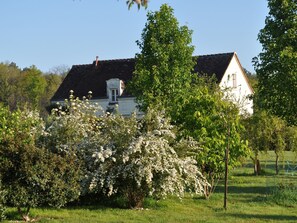 Exterior - Character Cottage With a Swimming Pool Close to the Loire Chateaux (Chambourg-sur-Indre)
