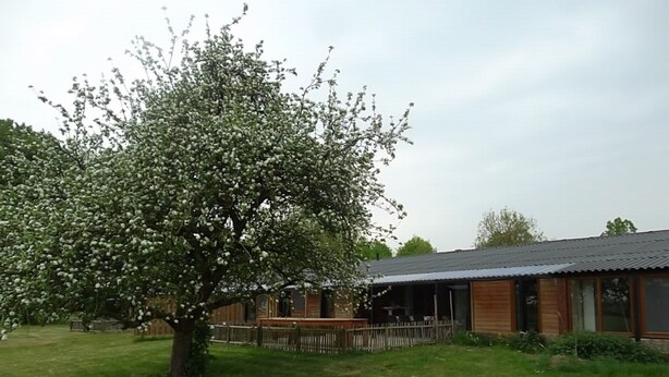 Unclassified image, 1 of 18, button - Well-kept Bungalow With a Dishwasher in the Betuwe (Kesteren)