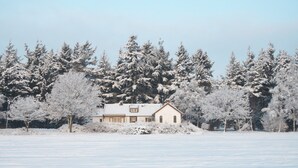 Een huis omringd door met sneeuw bedekte bomen.