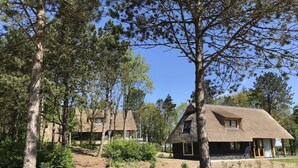 Exterior - Beautiful Designed Sauna Villa, in National Park De Hondsrug (Exloo)