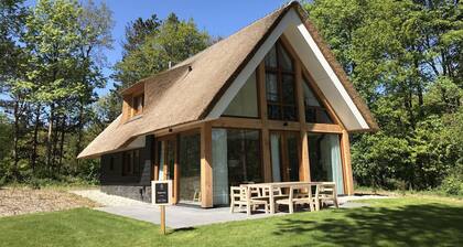 Beautiful Designed Sauna Villa, in National Park De Hondsrug