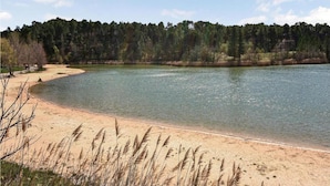 A lake with a sandy shore and a forest in the background.