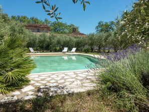 House | Pool - Holiday Home in Beziers With Pool and Vineyard (Murviel-les-Beziers)