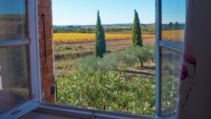 A window with a view of a vineyard and trees. - Holiday Home in Beziers With Pool and Vineyard (Murviel-les-Beziers)