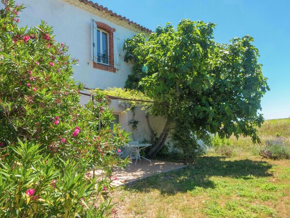 House | Exterior - Holiday Home in Beziers With Pool and Vineyard (Murviel-les-Beziers)