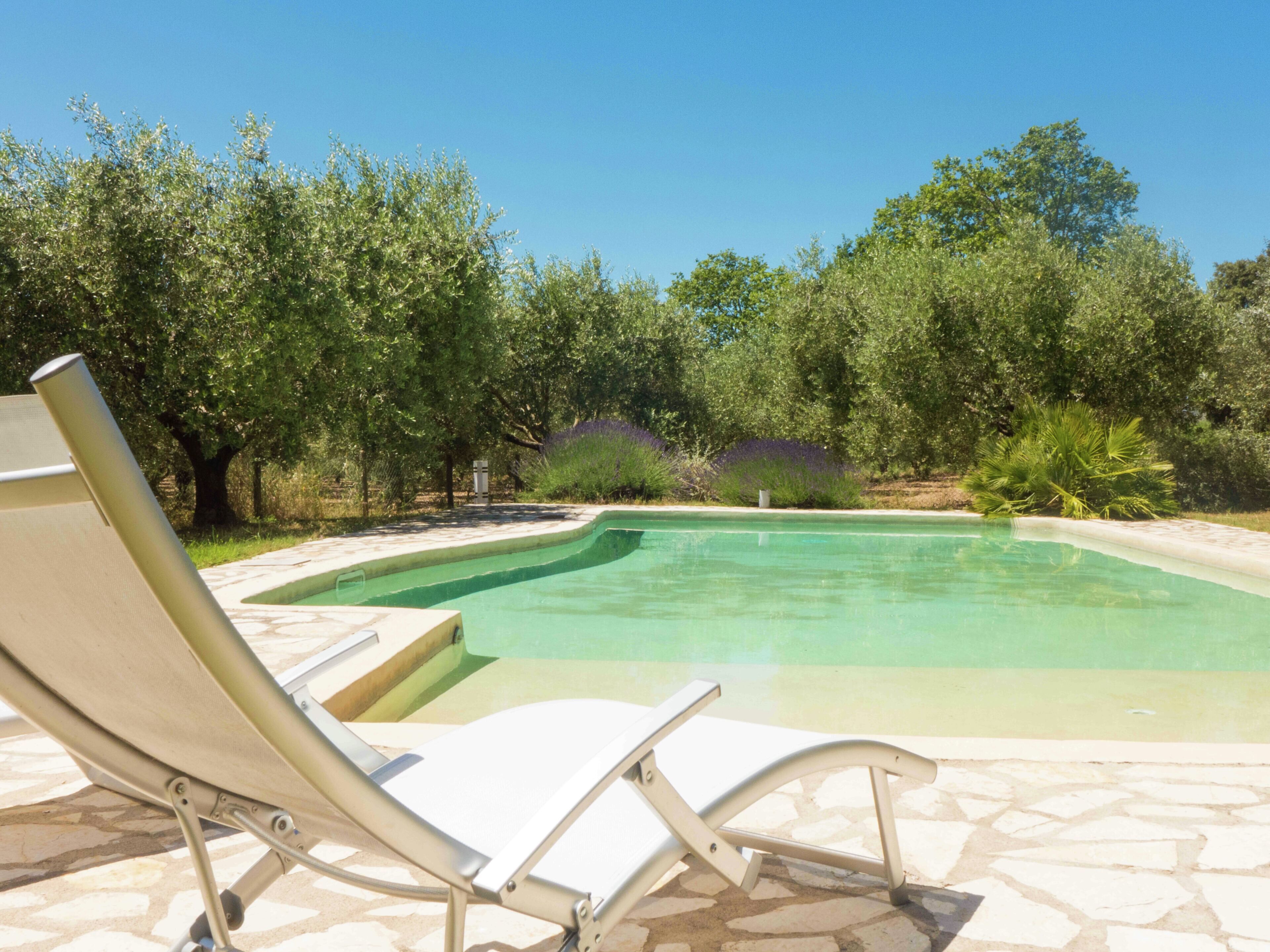 House | Pool | Outdoor pool