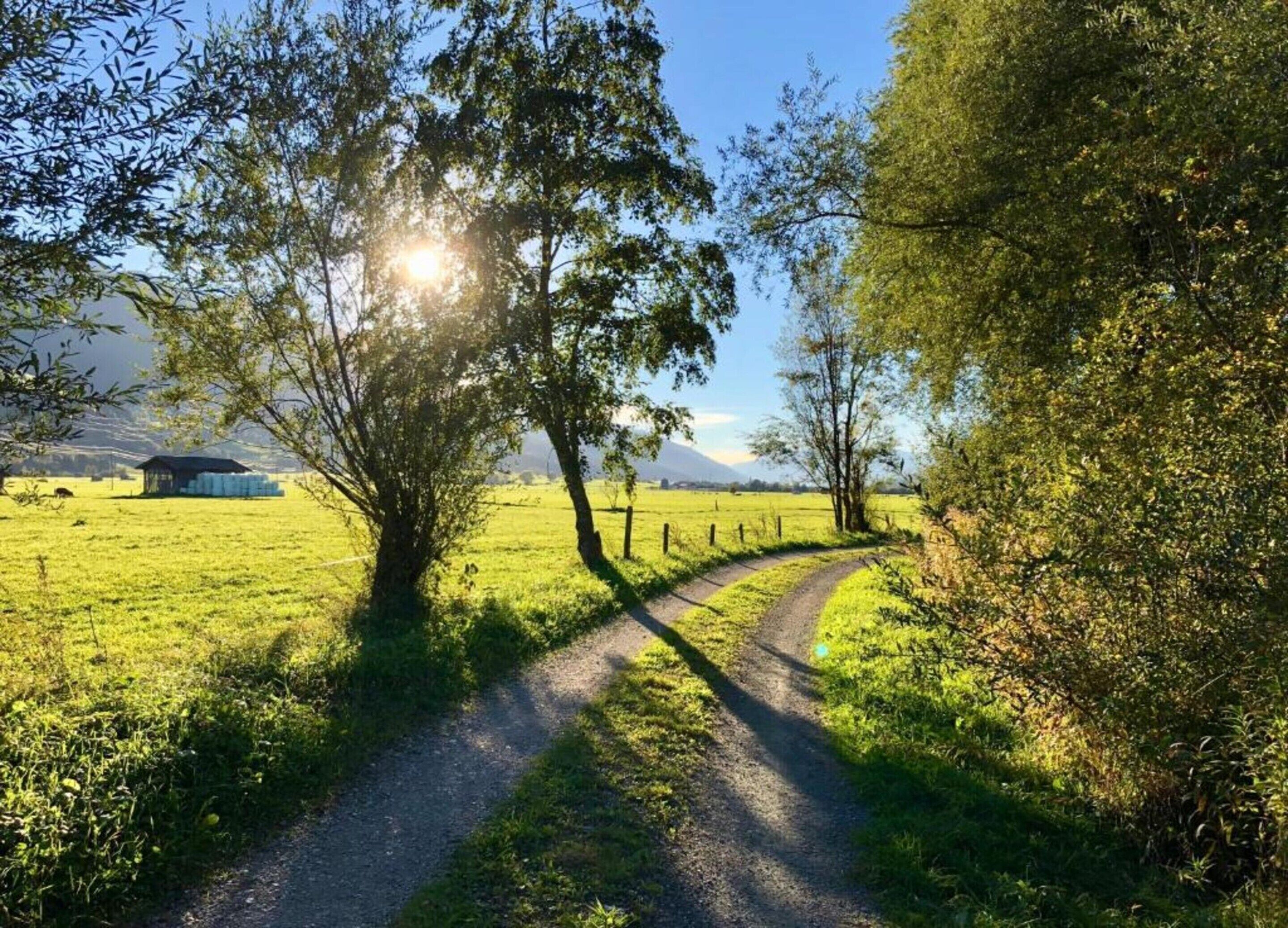 En landvej der løber gennem en grøn mark med et lade i det fjerne.