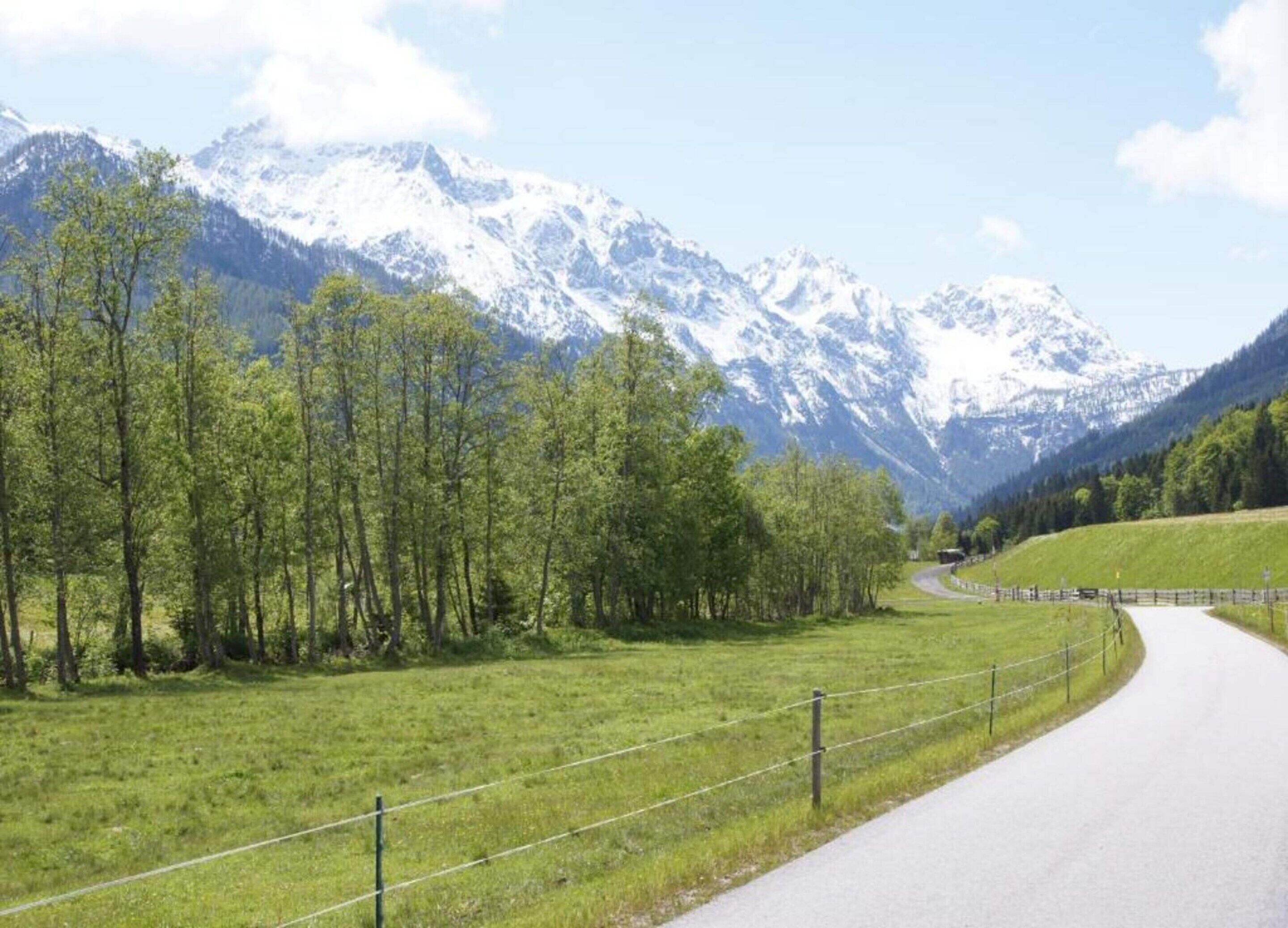 Eine Straße schlängelt sich durch eine grüne Landschaft, im Hintergrund schneebedeckte Berge.