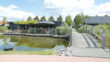 House | Property grounds