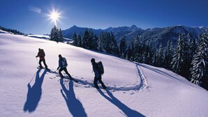 Exterior - Luxurious Apartment in Kaltenbach of Zillertal Near Ski Area (Kaltenbach)
