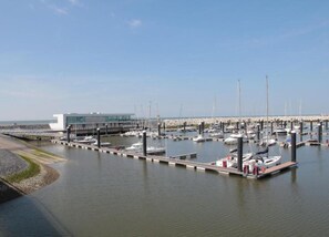 House | View from property