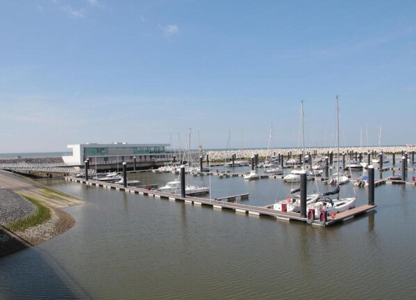 House | View from property