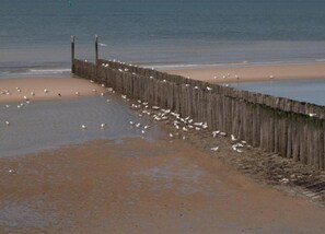 Rumah | Pemandangan dari properti