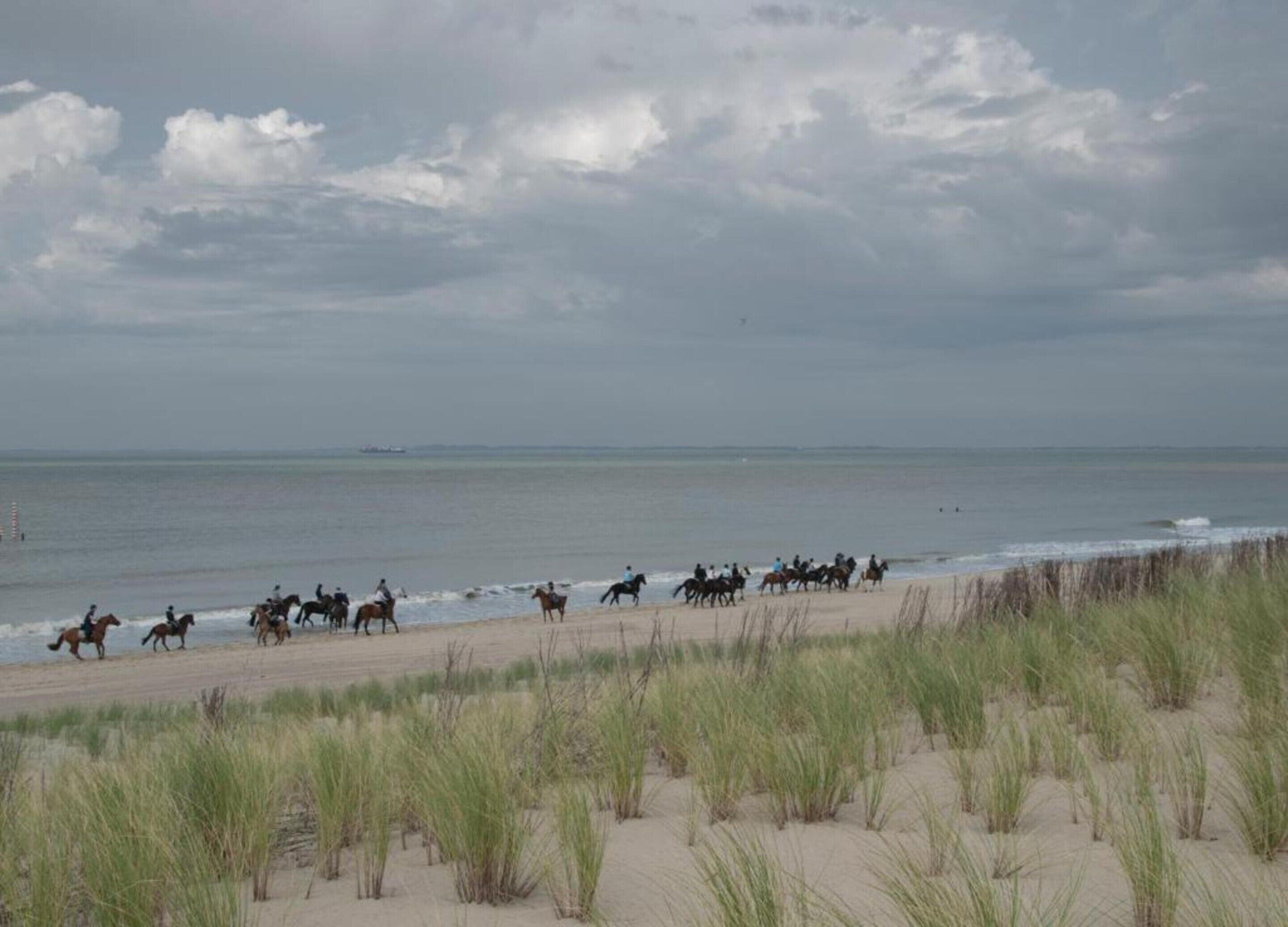 Ein Strand, auf dem eine Gruppe von Menschen zu Pferd reitet.