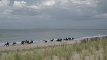 Ein Strand, auf dem eine Gruppe von Menschen zu Pferd reitet.