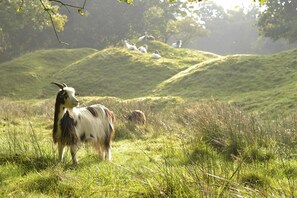 House | View from property - Holiday Home in Warns With Private Jetty (Warns)