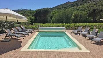 House | Pool | Indoor pool, outdoor pool