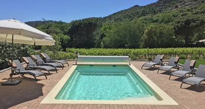 Villa in Plan-de-la-tour With Pool & Vineyard Views
