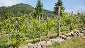 Exterior - Great Chalet With a Dishwasher, in the High Vosges (Le Thillot)