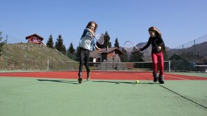 Sport court - Great Chalet With a Dishwasher, in the High Vosges (Le Thillot)