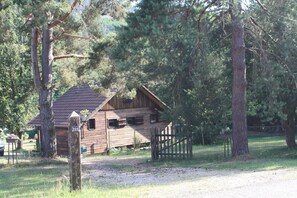 Chalet | Interior detail - Quiet Chalet With Garden (Saint-Quirin)