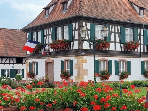 Holiday Home Alsace Near Vosges Nature Park