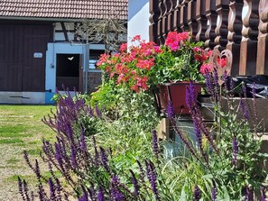 House | Exterior - Holiday Home Alsace Near Vosges Nature Park (Schleithal)