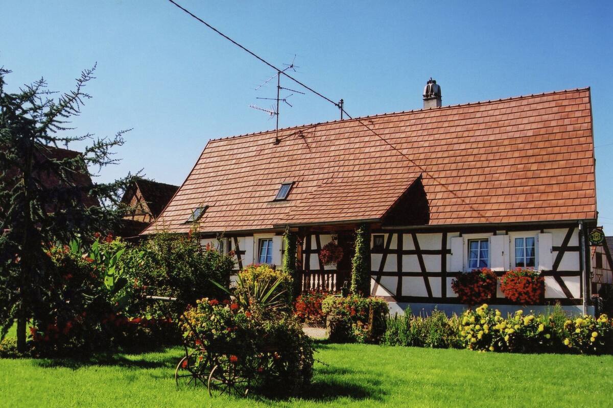Ferienhaus | Außenbereich