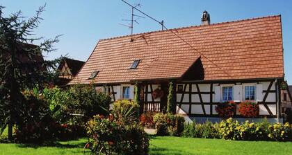 Holiday Home Alsace Near Vosges Nature Park