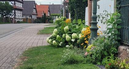 Holiday Home Alsace Near Vosges Nature Park