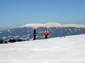 Exterior - Spacious Chalet near Ski Area in Wolfsberg (Bad Sankt Leonhard im Lavanttal)
